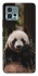 Чохол на Motorola Moto G72 Панда фото 1 з 1