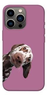 Чохол на Apple iPhone 13 Pro (6.1") А що тут фото 1 з 1