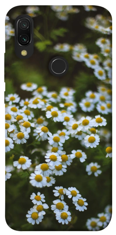 Чехол на Xiaomi Redmi 7 Ромашки v13 фото 1 из 1