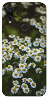 Чехол на Xiaomi Redmi 7 Ромашки v13 фото 1 из 1