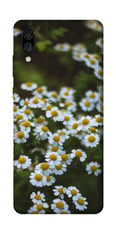 Чехол на ZTE Blade A5 (2020) Ромашки v13 фото 1 из 1