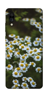 Чехол на ZTE Blade A5 (2020) Ромашки v13 фото 1 из 1