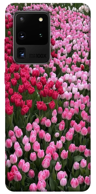 Чохол на Samsung Galaxy S20 Ultra Flowers v9 фото 1 з 1