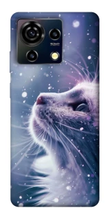 Чехол на ZTE Blade V50 Vita Snow cat фото 1 из 1