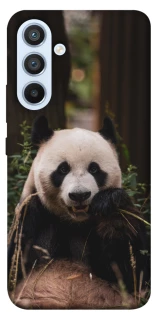 Чохол на Samsung Galaxy A54 5G Панда фото 1 з 1
