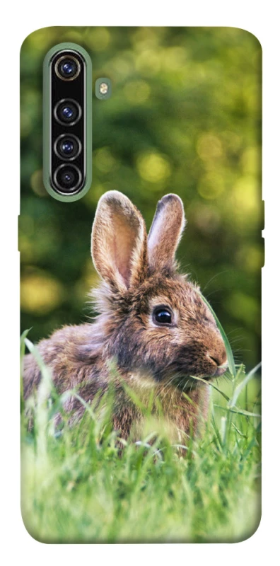 Чехол на Realme X50 Pro Кролики фото 1 из 1