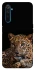 Чохол на Realme 6 Pro Leopard v4 фото 1 з 1