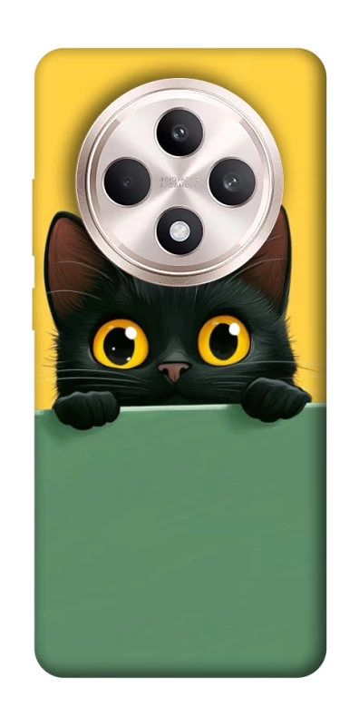Чохол на Oppo Reno 12 F 4G/5G Black cat v2 фото 1 з 1