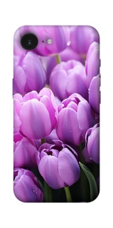 Чохол на Apple iPhone 17e (6.1") Фіолетові тюльпани фото 1 з 1