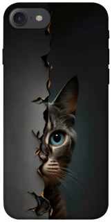 Чехол на Apple iPhone 7 / 8 (4.7") Кот-подглядыватель v2 фото 1 из 1