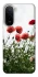 Чохол на Xiaomi Redmi A7 Pro 4G Поле маків фото 1 з 2