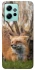 Чехол на Xiaomi Redmi Note 12 4G Лиса фото 1 из 1