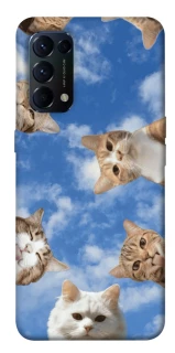 Чохол на Oppo Reno 5 4G Сats фото 1 з 1