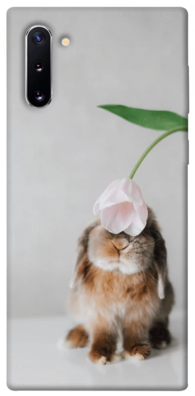 Чохол на Samsung Galaxy Note 10 Bunny фото 1 з 1