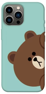 Чехол на Apple iPhone 13 Pro Max (6.7") bear фото 1 из 1