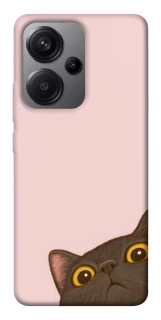 Чохол на Xiaomi Redmi Note 13 Pro+ Peeping cat фото 1 з 1