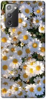 Чехол на Samsung Galaxy Note 20 Поле ромашек фото 1 из 1