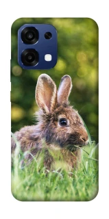Чехол на Oppo A6 Pro 4G/5G Кролики фото 1 из 2