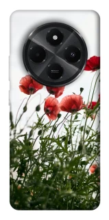 Чохол на Xiaomi Poco C75 Поле маків фото 1 з 1