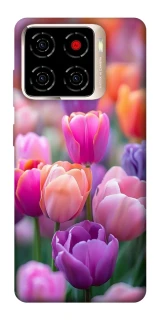 Чехол на ZTE Blade A56 Поле тюльпанов фото 1 из 1