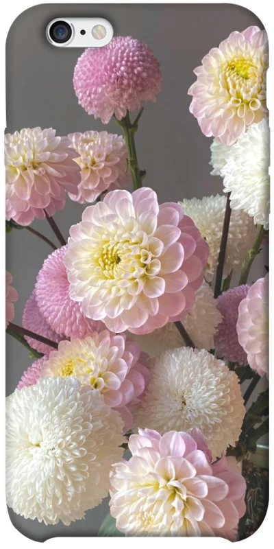 Чехол на Apple iPhone 6/6s plus (5.5") Flowers v2 фото 1 из 1