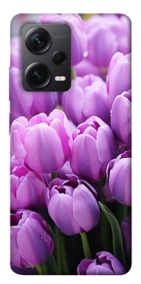 Чехол на Xiaomi Redmi Note 12 Pro+ 5G Фиолетовые тюльпаны фото 1 из 1
