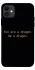 Чехол на Apple iPhone 11 (6.1") House of the Dragon ver.9 фото 1 из 1