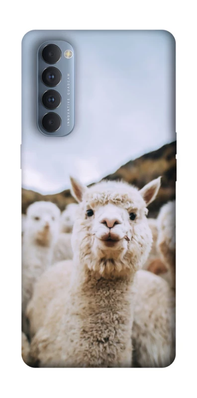 Чохол на Oppo Reno 4 Pro Лама фото 1 з 1
