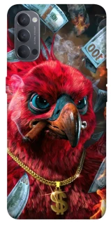 Чохол на Oppo Reno 4 Папуга фото 1 з 1