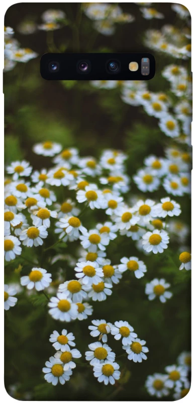 Чехол на Samsung Galaxy S10+ Ромашки v13 фото 1 из 1