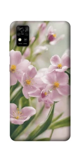Чехол на ZTE Blade A31 Spring фото 1 из 1