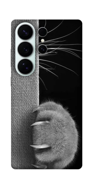Чехол на Samsung Galaxy S26 Spy Cat фото 1 из 1
