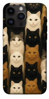 Чохол на Apple iPhone 14 Pro Max (6.7") Colorful Cat Collage фото 1 з 1