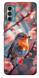 Чохол на Motorola Moto G60 Birdie фото 1 з 1