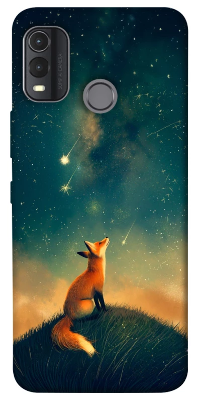 Чехол на Nokia G11 Plus Sky fox фото 1 из 1