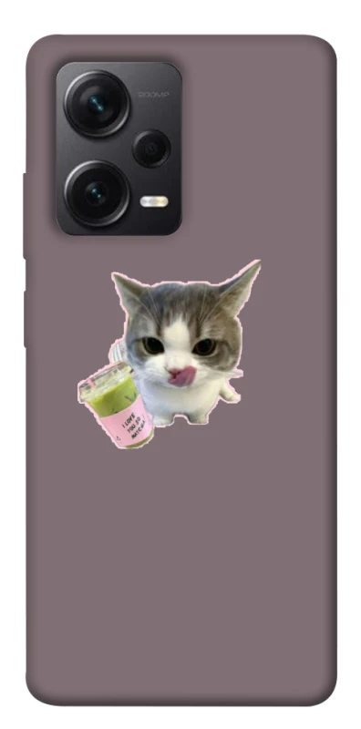 Чехол на Xiaomi Redmi Note 12 Pro+ 5G cat matcha фото 1 из 1