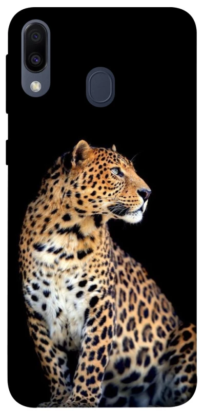 Чехол на Samsung Galaxy M20 Leopard v2 фото 1 из 1