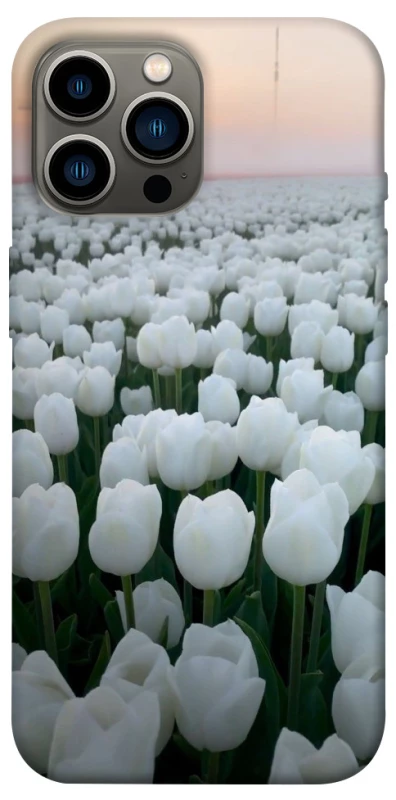 Чохол на Apple iPhone 12 Pro Max (6.7") Flowers v1 фото 1 з 1