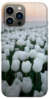 Чехол на Apple iPhone 12 Pro Max (6.7") Flowers v1 фото 1 Чехол на Apple iPhone 12 Pro Max (6.7") Flowers v1 фото 1 из 1
