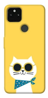 Чехол на Google Pixel 5A Кот-муркот фото 1 из 1