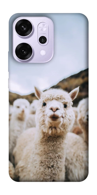 Чохол на Oppo Reno 14 Pro Лама фото 1 з 1