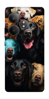 Чехол на Realme GT Neo 6 SE Собаки фото 1 из 1