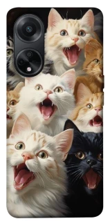 Чохол на Oppo A98 Коти фото 1 з 1