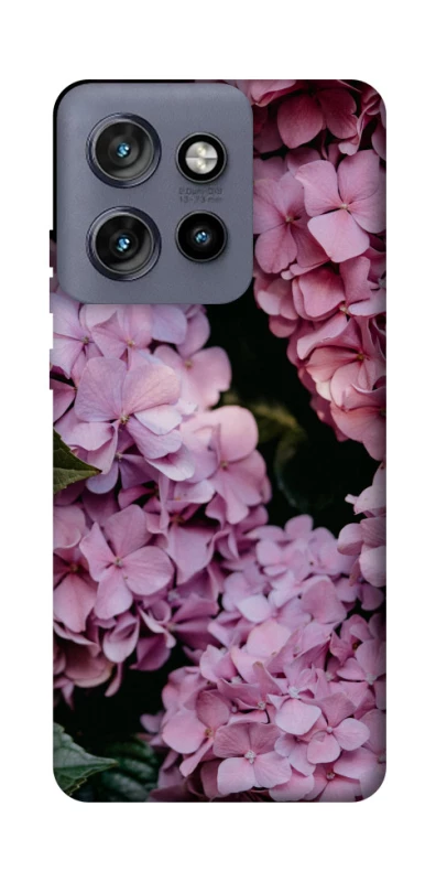 Чохол на Motorola Edge 50 Neo Рожеві гартензії фото 1 з 1