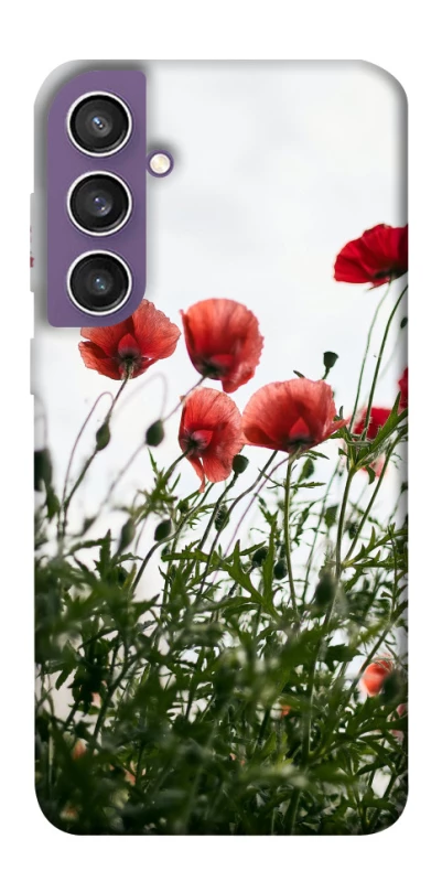 Чохол на Samsung Galaxy S23 FE Поле маків фото 1 з 1