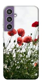 Чохол на Samsung Galaxy S23 FE Поле маків фото 1 з 1