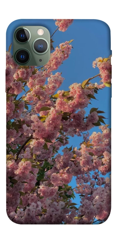Чохол на Apple iPhone 11 Pro (5.8") Flowers v4 фото 1 з 1