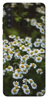 Чехол на Samsung Galaxy A21 Ромашки v13 фото 1 из 1