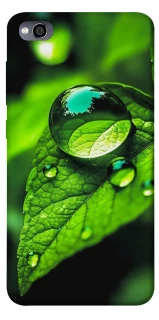 Чохол на Xiaomi Redmi 4a Flowers v16 фото 1 з 1