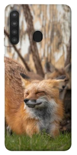 Чохол на Samsung Galaxy A21 Лисиця фото 1 з 1